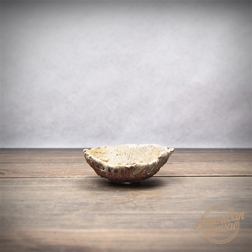 Hand Made Bonsai Pot: 3.25" x 1"