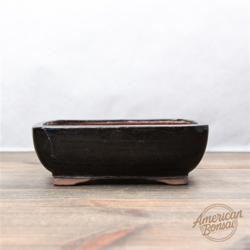 International Bonsai Pot