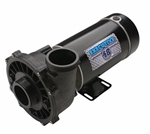 3421221-1A spa pump