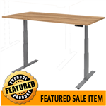 Electric Height Adjustable Desk, Two Desktop Sizes