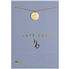 Lucky Feather Capricorn Zodiac Necklace