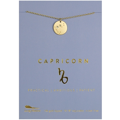 Lucky Feather Capricorn Zodiac Necklace