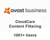 Avast Business CloudCare Content Filtering 1 Year Users (1001+)