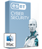 ESET Cyber Security 1 Year 2 User New License