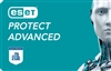 ESET Protect Advanced 1 Year Renewal (250-499 seats)