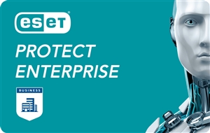 ESET Protect Enterprise 1 Year New License (26-49 seats)