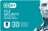 ESET Server Security for Microsoft Windows Server 1 Year New License Users (11-25)