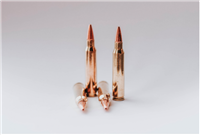 223 REM 75gr BTHP Reman