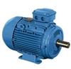 227-00196-00 Motor Weg 1.1Kw