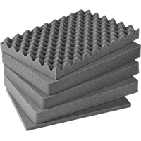 iM2450 Replacement Foam Set