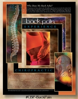 Back Pain: Why Does My Back Ache? 22 x 28 (non-laminated)