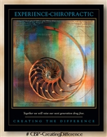 Creating the Difference: Experience Chiropractic 22 x 28 (non-laminated)