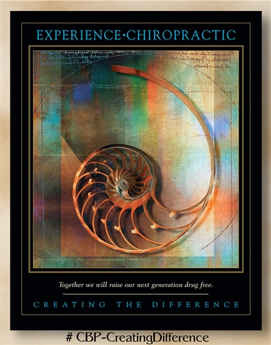 Creating the Difference: Experience Chiropractic 22 x 28 (non-laminated)