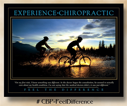 Feel the Difference: Experience Chiropractic 22 x 28 (non-laminated)