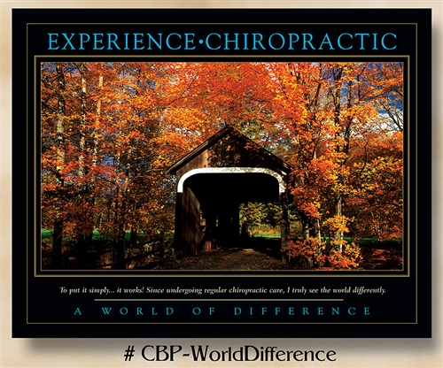 World of Difference: Experience Chiropractic 22 x 28 (non-laminated)