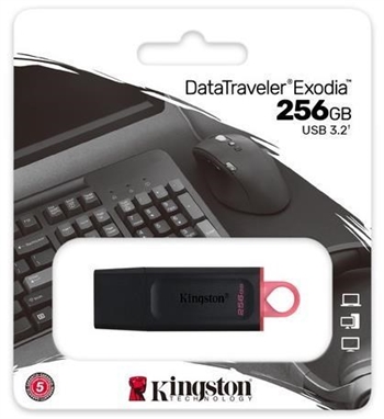 Kingston DataTraveler Exodia USB 3.2 Flash Drive 256GB