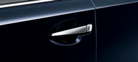 Lexus HS Plated Door Garnish Set
