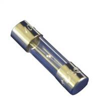 Bravilor fuse 2A 5X20 glass body (pack of 10)