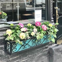 24" Savannah Wrought Iron Window Box With Ornamental Scroll Work