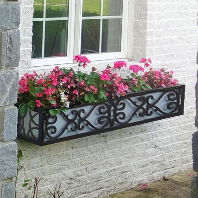 66" Savannah Wrought Iron Window Box With Ornamental Scroll Work