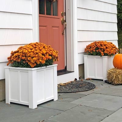 12" x 12" x 12" Daisy Decorative Square PVC Planter With Vertical And Horizontal Trim