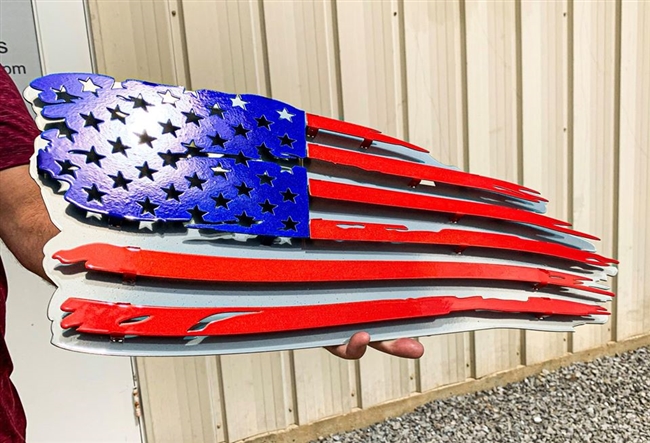 Ripped American Flag 3D