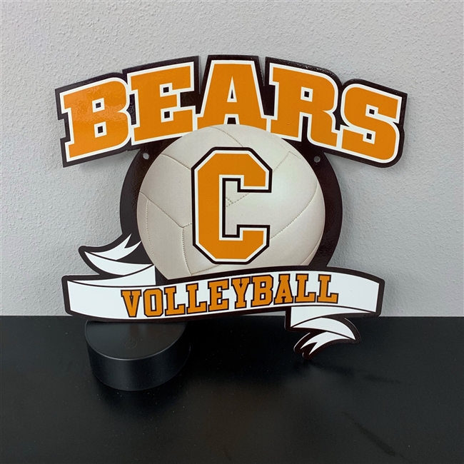 Central Bears Volleyball