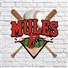 FCHS Mules High School Baseball