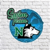 North High School Swimteam