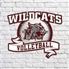 Mt Vernon Wildcats Volleyball