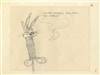 Original Layout Drawing of Bugs Bunny from Compressed Hare (1961)