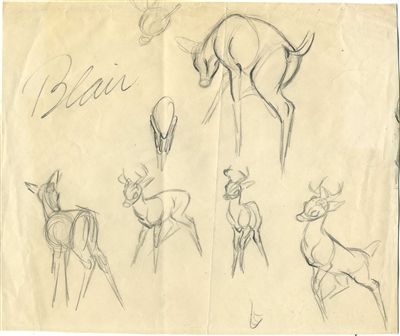 Original Production Model Drawing of Bambi from Bambi (1942)