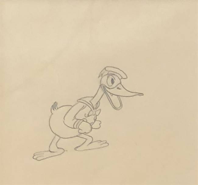 Original Production Drawing of Donald Duck from The Band Concert (1935)
