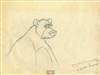 Original Production Drawing of Baloo from Jungle Book (1967)