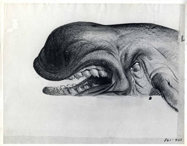 Original Photostat of Monstro from Pinoccio (1940)
