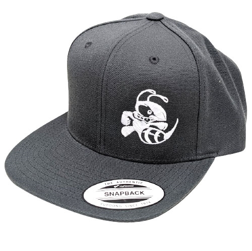 Discraft Buzzz Snapback Hat (GRAY)