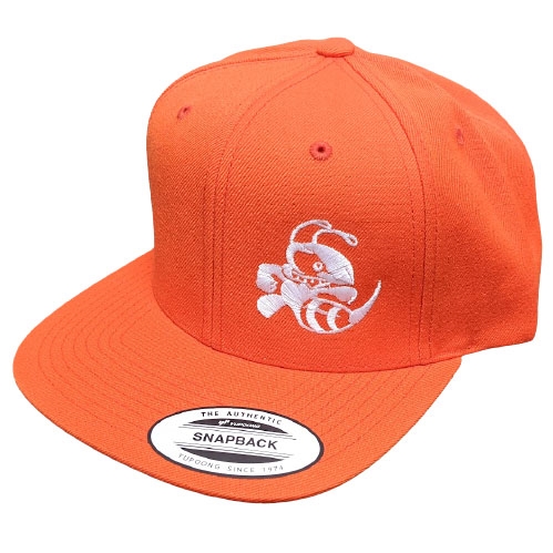 Discraft Buzzz Snapback Hat (ORANGE)