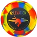 Elevation Disc Golf - Interceptor