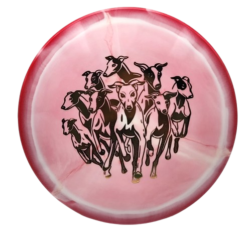Innova Halo Star Whippet