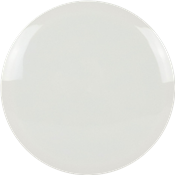 Streamline Discs Blank Neutron Drift