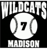 Custom Baseball Car Window Sports Decal