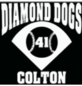 Baseball Diamond Car Window Decal