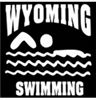 Swimming Car Window Decal