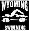 Swimming Car Window Decal