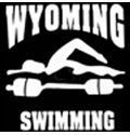 Swimming Car Window Decal