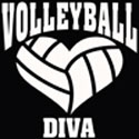 Custom Volleyball Diva Car Window Decal