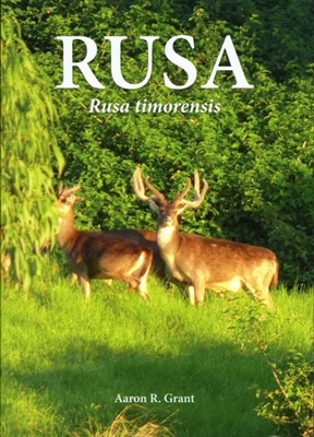 Rusa, rusa timorensis. Grant