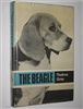 The Beagle