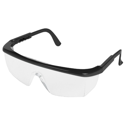 ERB Sting-Rays Black Frame Glasses