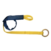 FallTech 7448 Web Embed Anchor